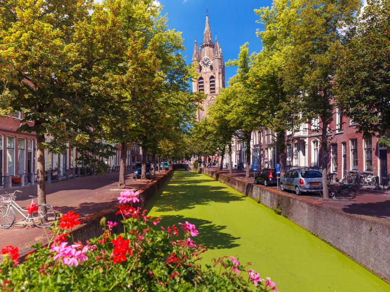 Foto van een gracht in Delft met aan beide zijden groene bomen.